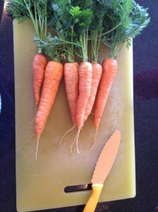 washed carrots